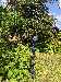 PXL_20250617_114505050.jpg